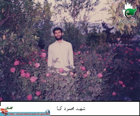 تجلیل از خانواده سردار شهید تجلیل از خانواده سردار شهید
