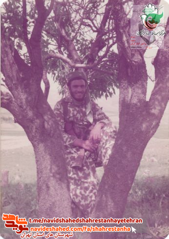 شهيد ذوالفقار گوگونانى شهيد ذوالفقار گوگونانى
