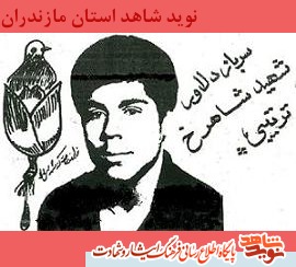 زندگينامه شهيد شاهرخ تربيتى زندگينامه شهيد شاهرخ تربيتى