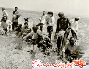 زندگینامه معلم شهید محمد جوادی