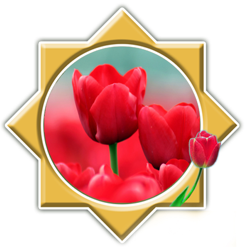 خبر حمله در نامه شهید خبر حمله در نامه شهید