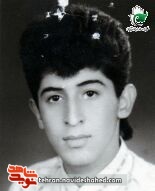 عکسی همانند شهدا