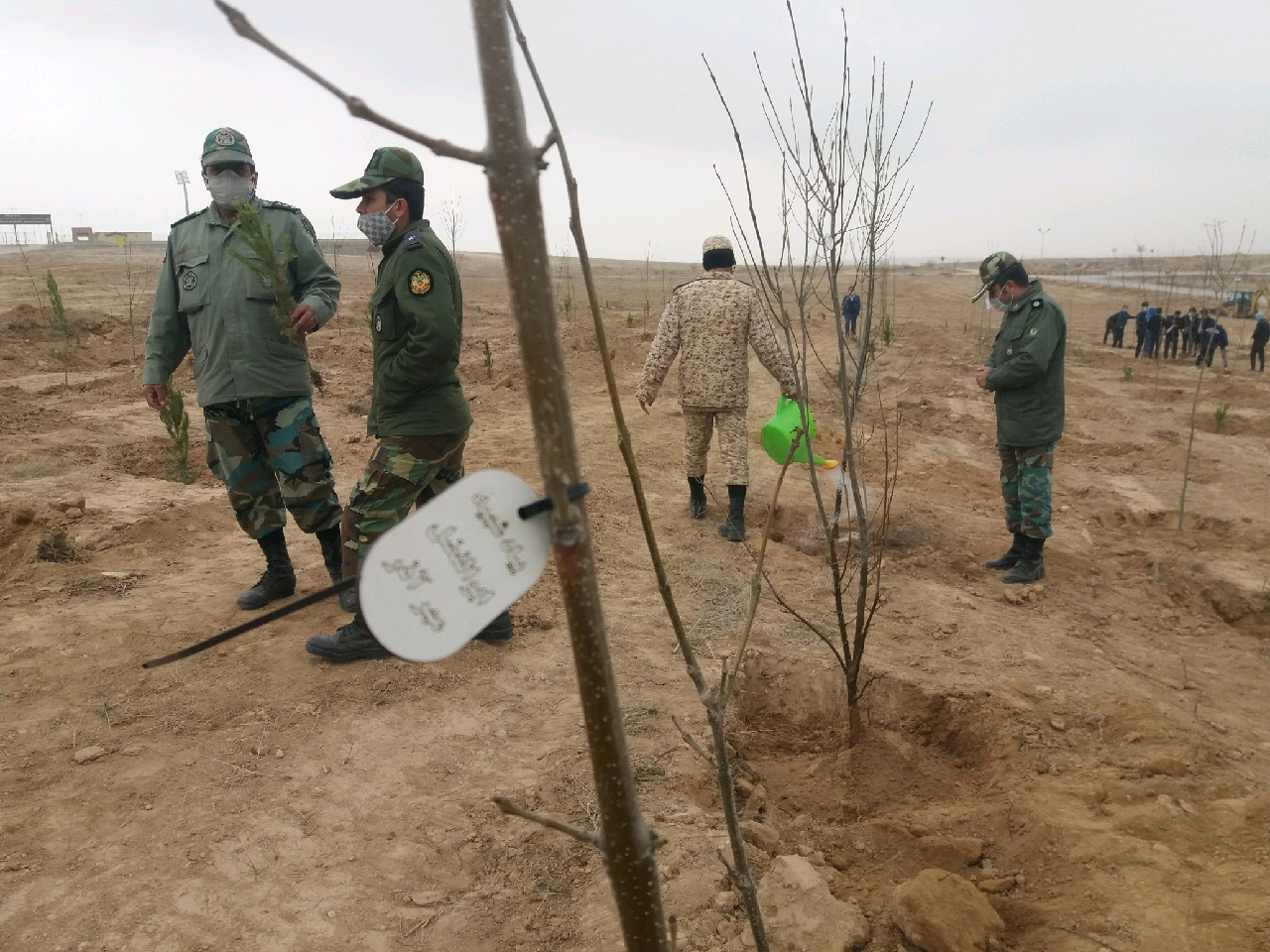 کاشت ۷۳۷ نهال به یاد ۷۳۷ شهید شهرستان قوچان کاشت ۷۳۷ نهال به یاد ۷۳۷ شهید شهرستان قوچان