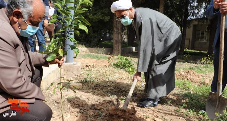 پویش ملی «ایران سرسبز و کاشت نهال به یاد شهدا» در شیراز آغاز شد