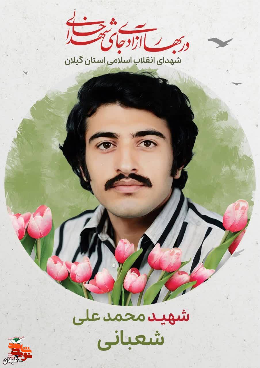 شهید محمدعلی شعبانی، فدایی راه حق