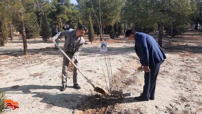 غرس درخت به نیابت از شهدا- هفدهم اسفندماه ۱۴۰۲ پارک جنگلی سوکان سمنان